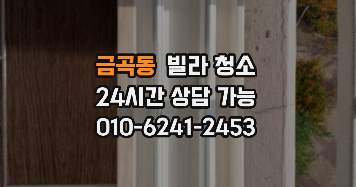 금곡동 빌라 청소