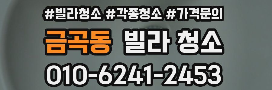 금곡동 빌라 청소