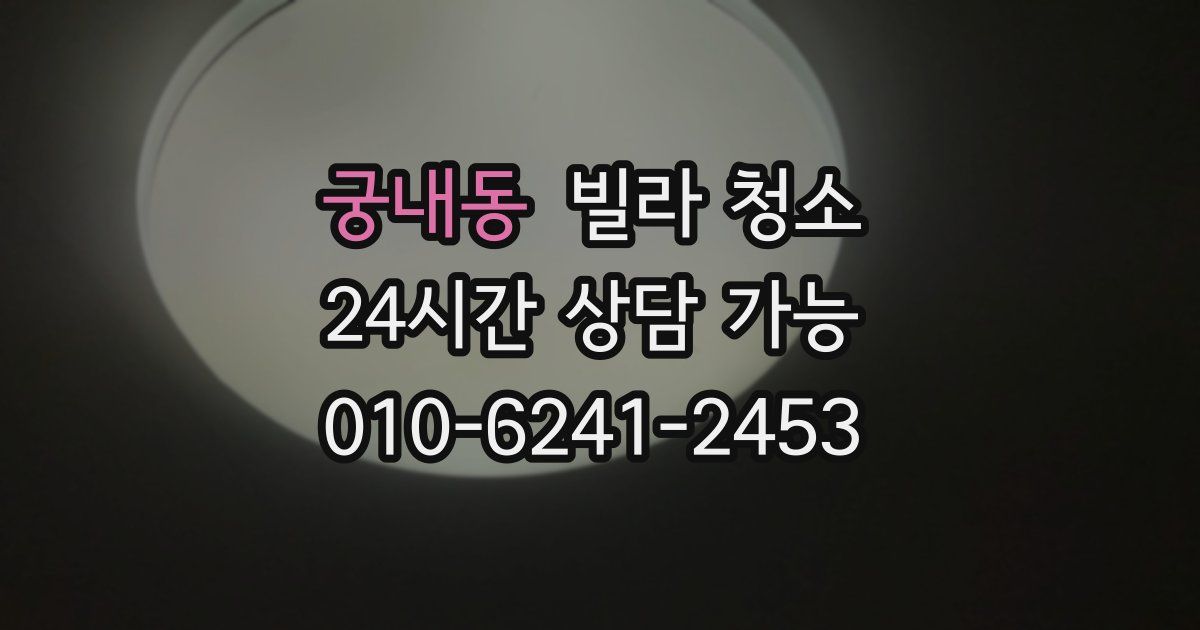 궁내동 빌라 청소