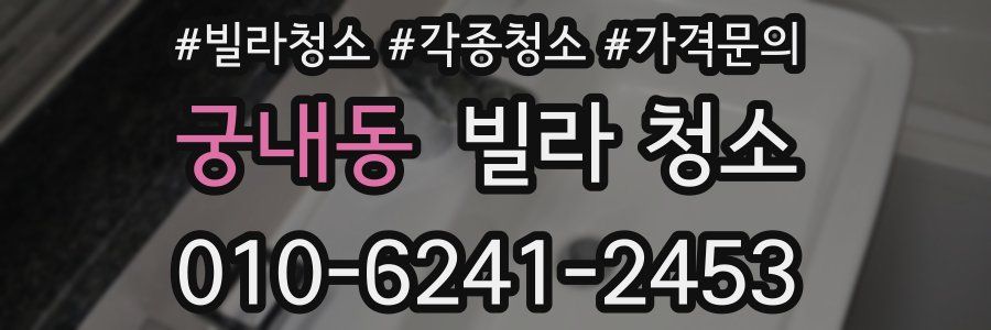 궁내동 빌라 청소