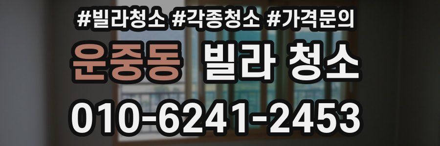 운중동 빌라 청소