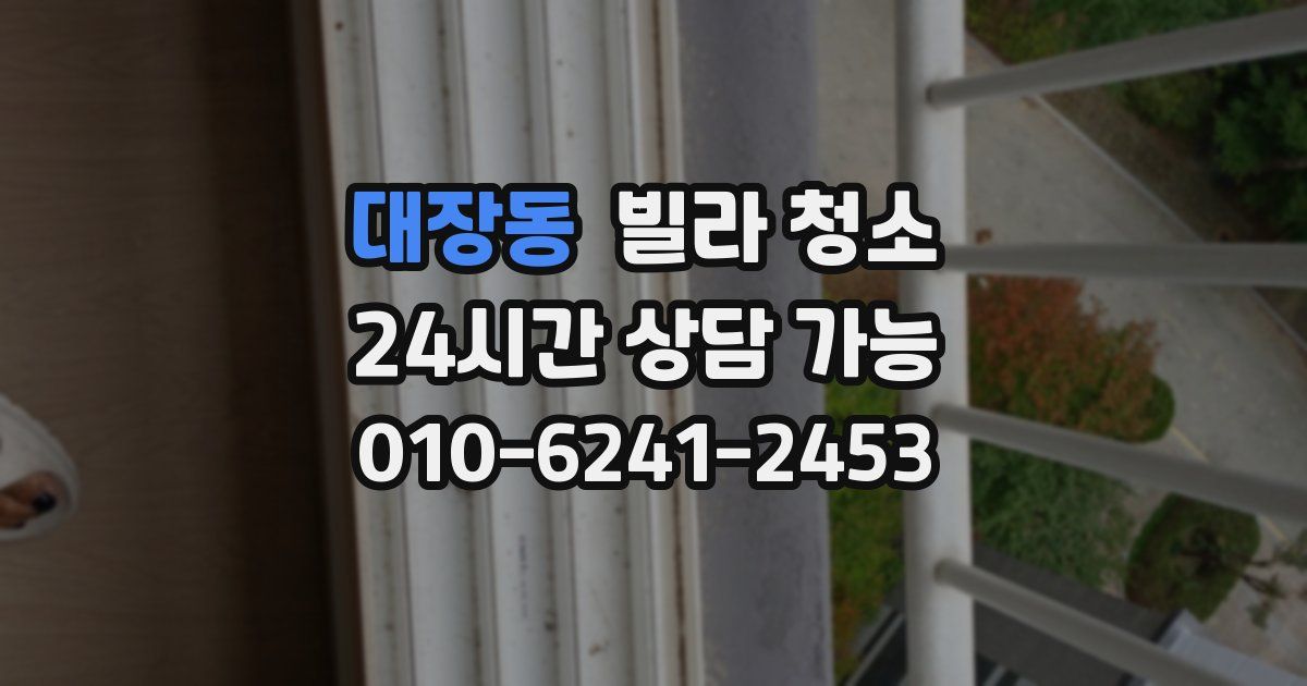 대장동 빌라 청소
