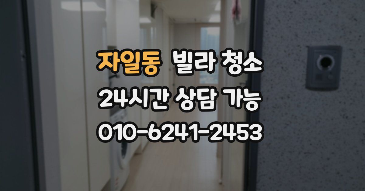 자일동 빌라 청소