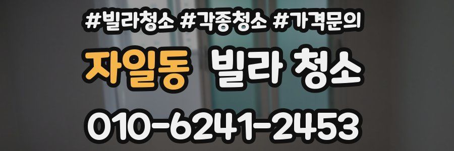 자일동 빌라 청소