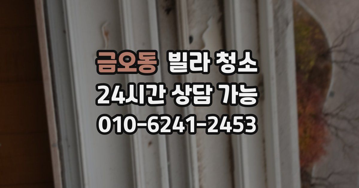 금오동 빌라 청소