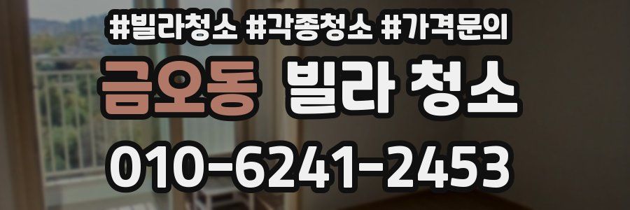 금오동 빌라 청소