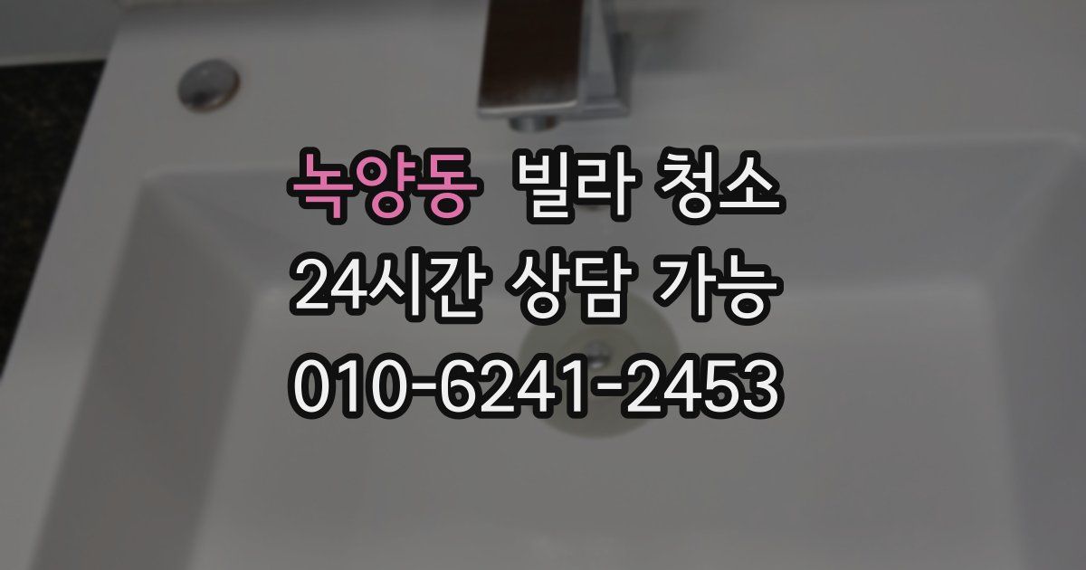 녹양동 빌라 청소