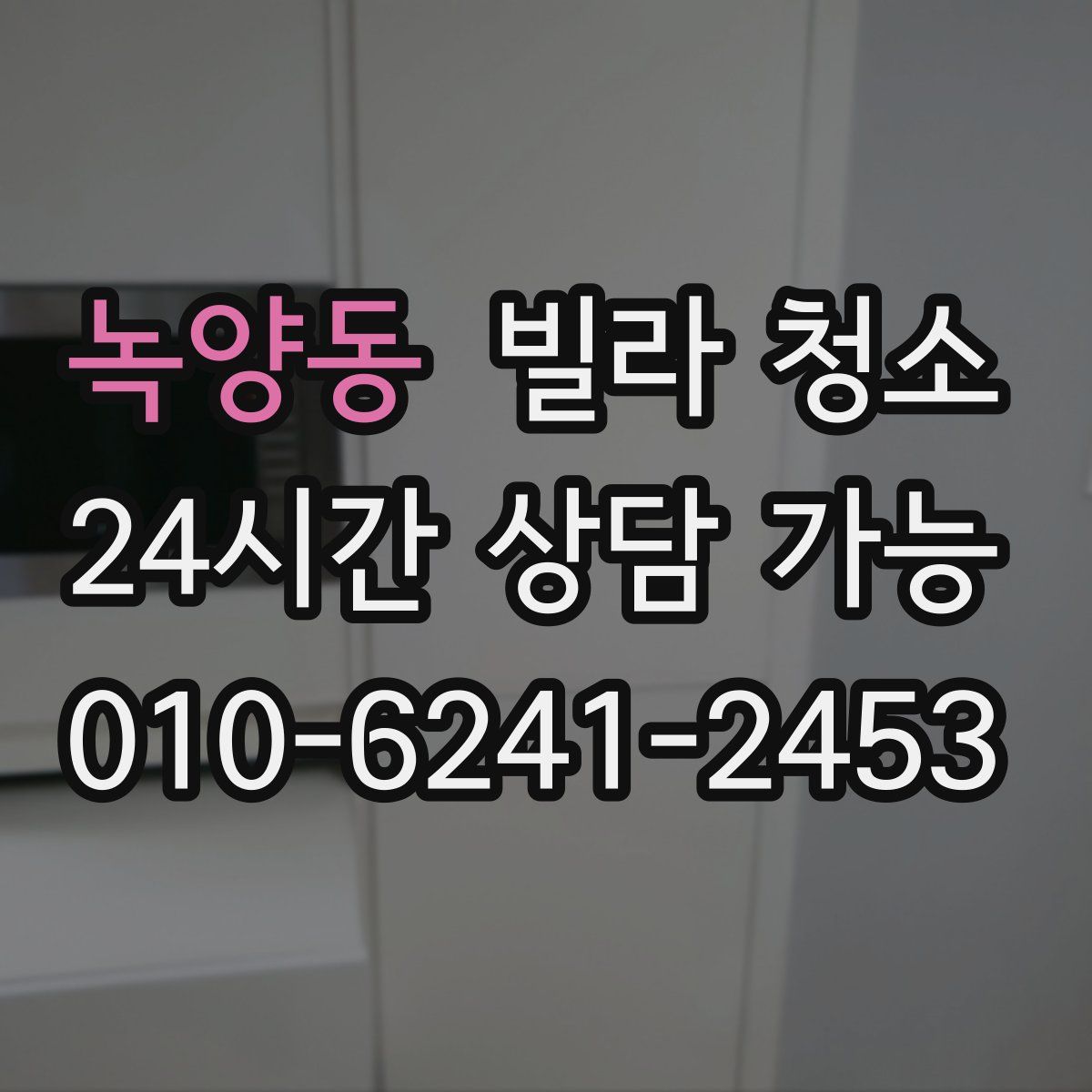 녹양동 빌라 청소