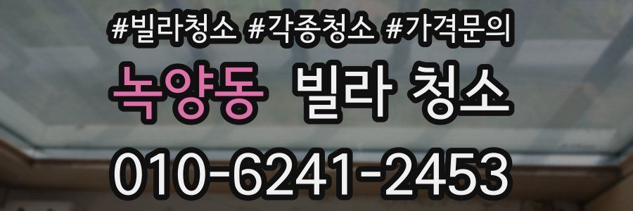 녹양동 빌라 청소