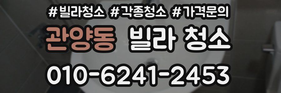 관양동 빌라 청소