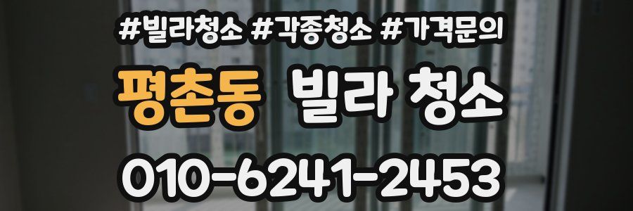 평촌동 빌라 청소