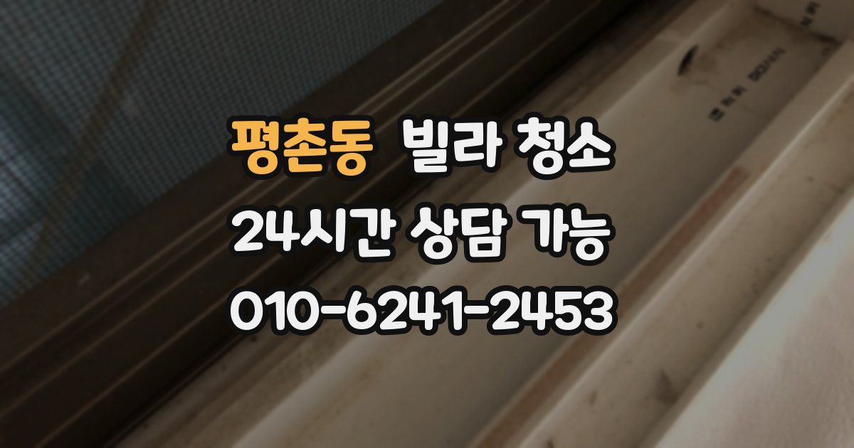 평촌동 빌라 청소