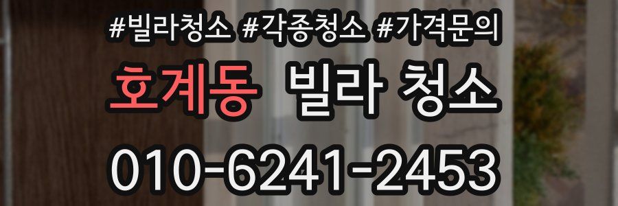 호계동 빌라 청소