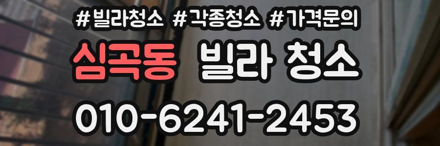 심곡동 빌라 청소