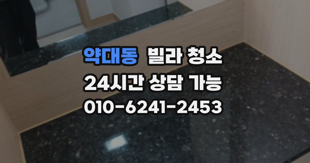 약대동 빌라 청소