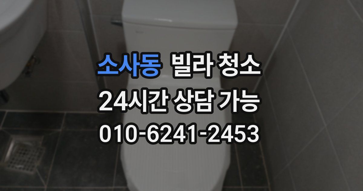 소사동 빌라 청소