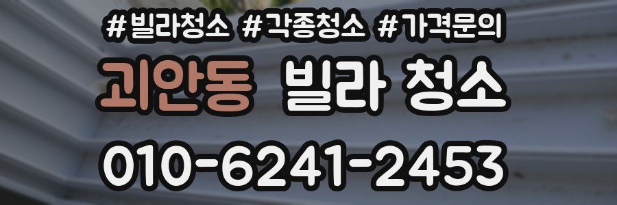 괴안동 빌라 청소