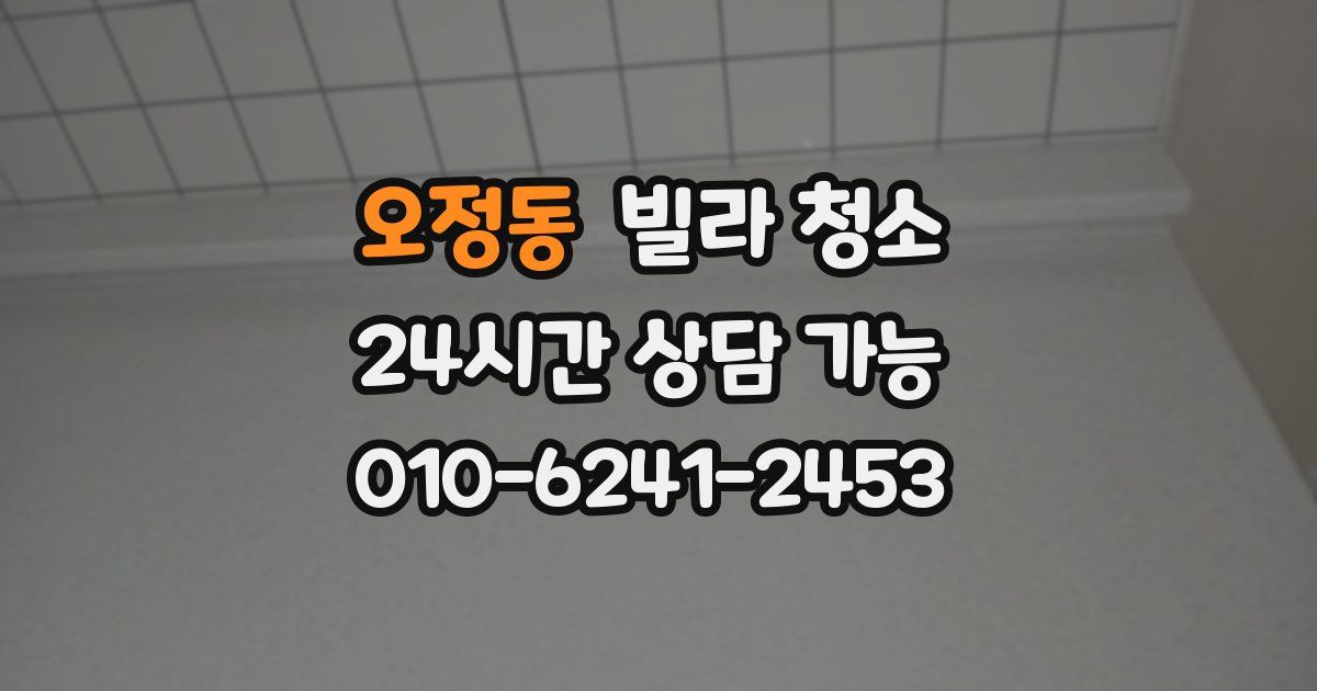 오정동 빌라 청소