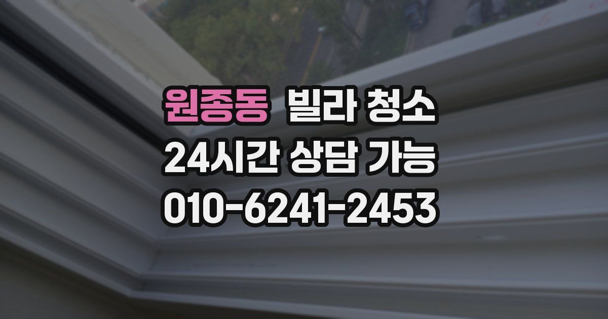 원종동 빌라 청소