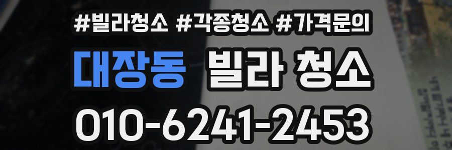 대장동 빌라 청소
