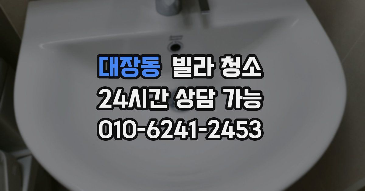 대장동 빌라 청소