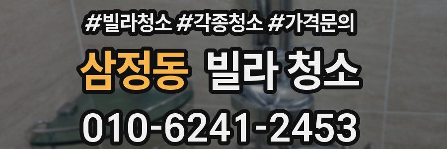 삼정동 빌라 청소