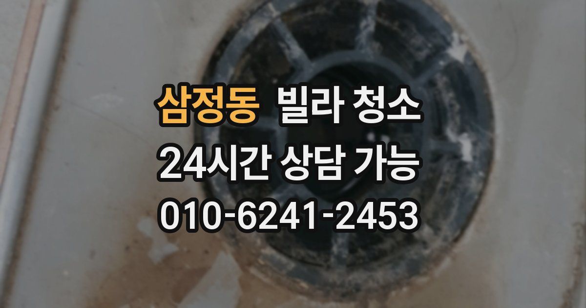 삼정동 빌라 청소