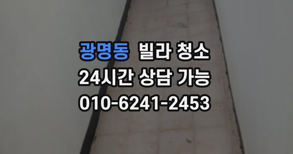 광명동 빌라 청소