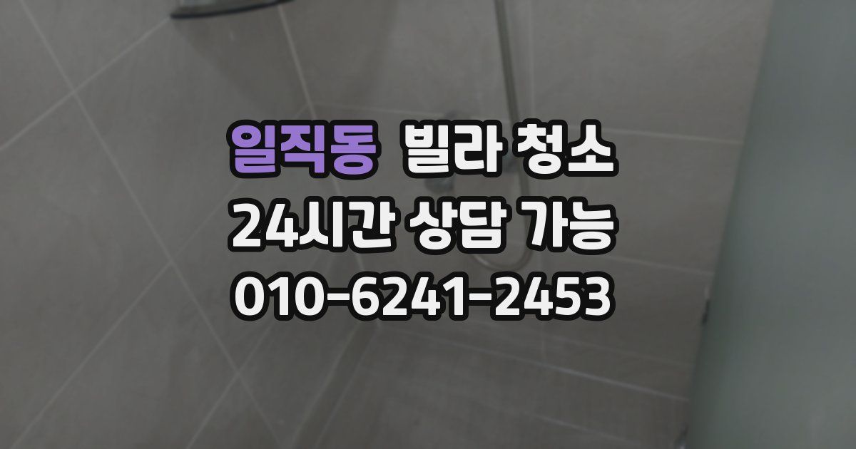 일직동 빌라 청소