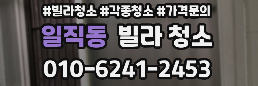 일직동 빌라 청소