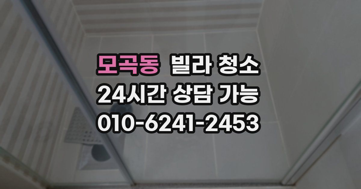 모곡동 빌라 청소