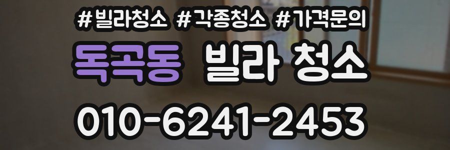 독곡동 빌라 청소