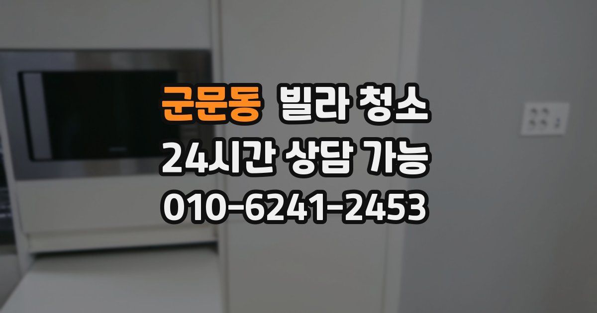 군문동 빌라 청소