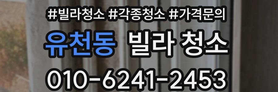 유천동 빌라 청소