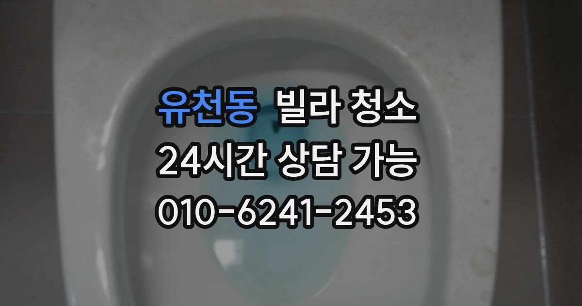 유천동 빌라 청소