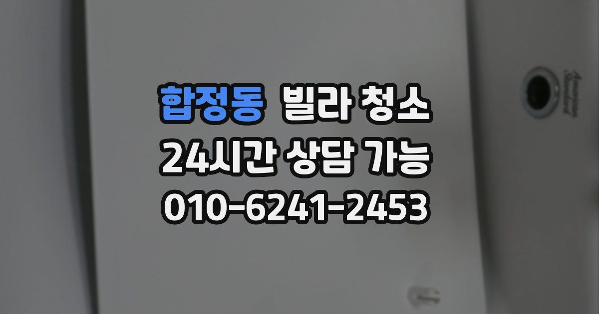 합정동 빌라 청소