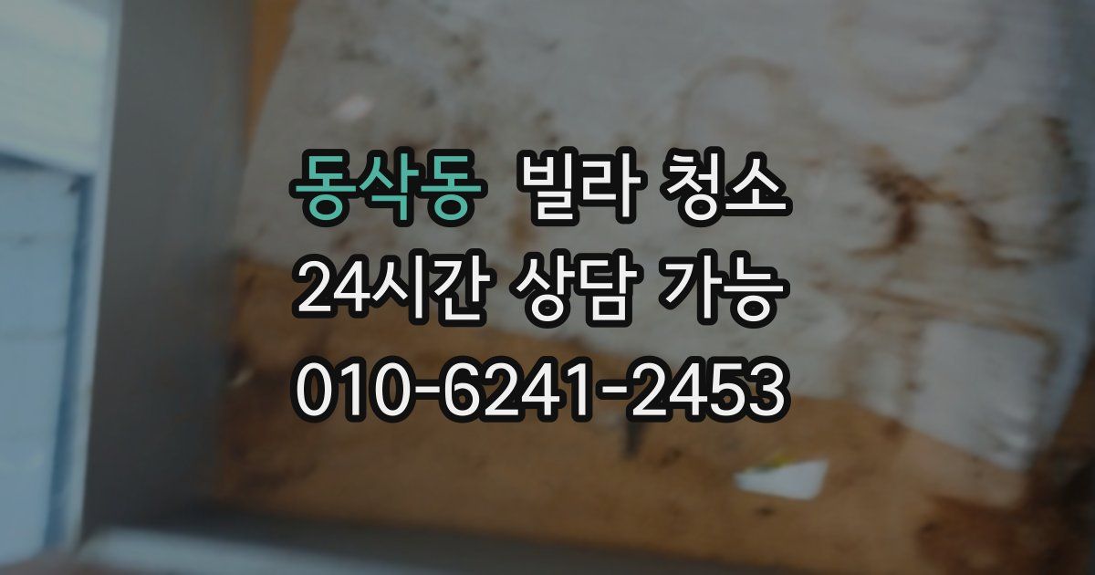동삭동 빌라 청소