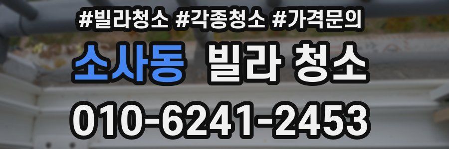 소사동 빌라 청소