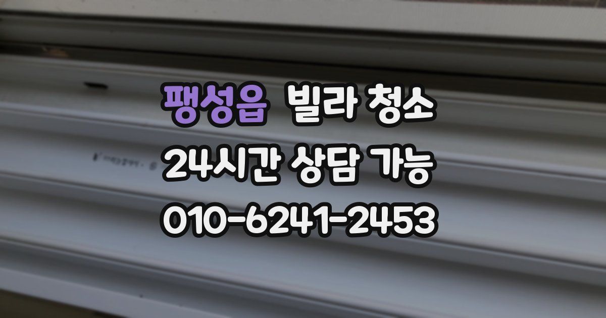 팽성읍 빌라 청소