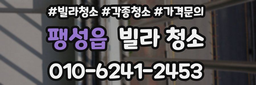 팽성읍 빌라 청소