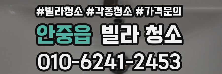 안중읍 빌라 청소