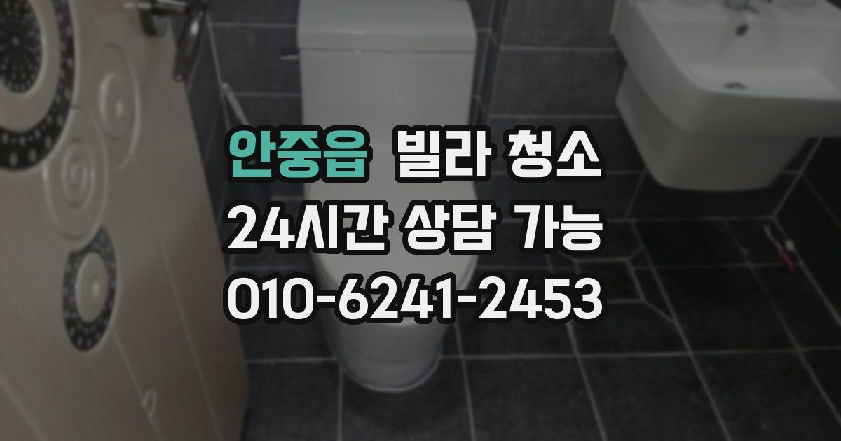 안중읍 빌라 청소