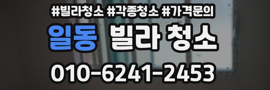 일동 빌라 청소