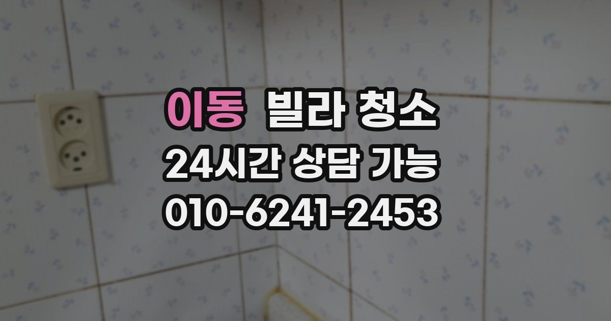 이동 빌라 청소