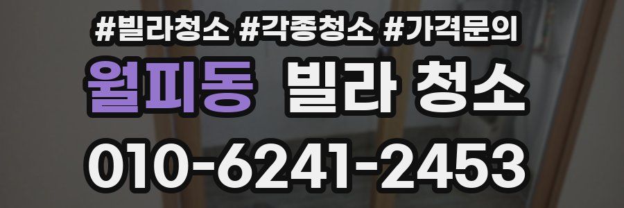 월피동 빌라 청소