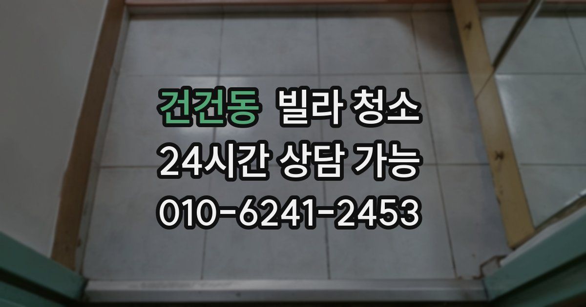 건건동 빌라 청소