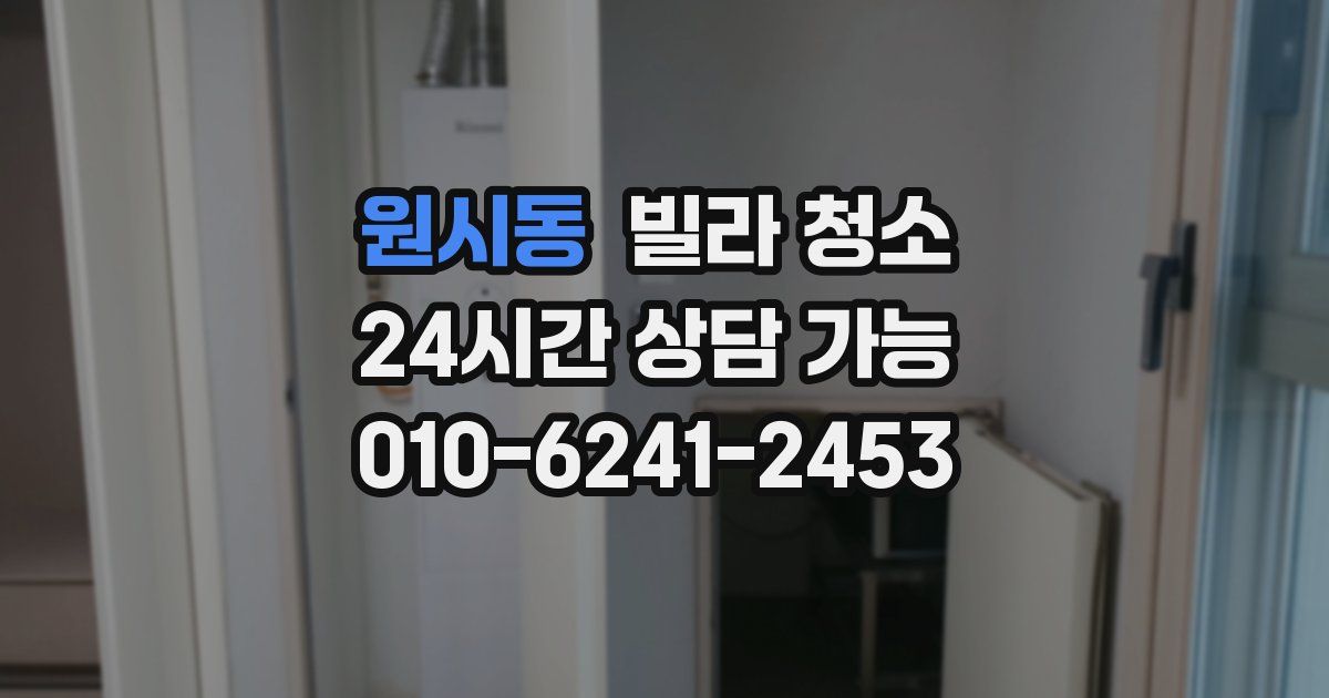 원시동 빌라 청소