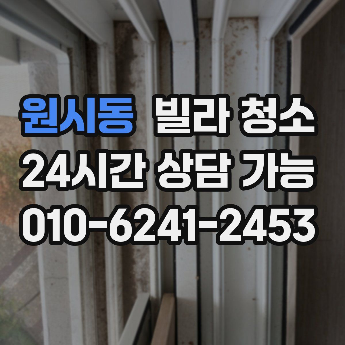 원시동 빌라 청소