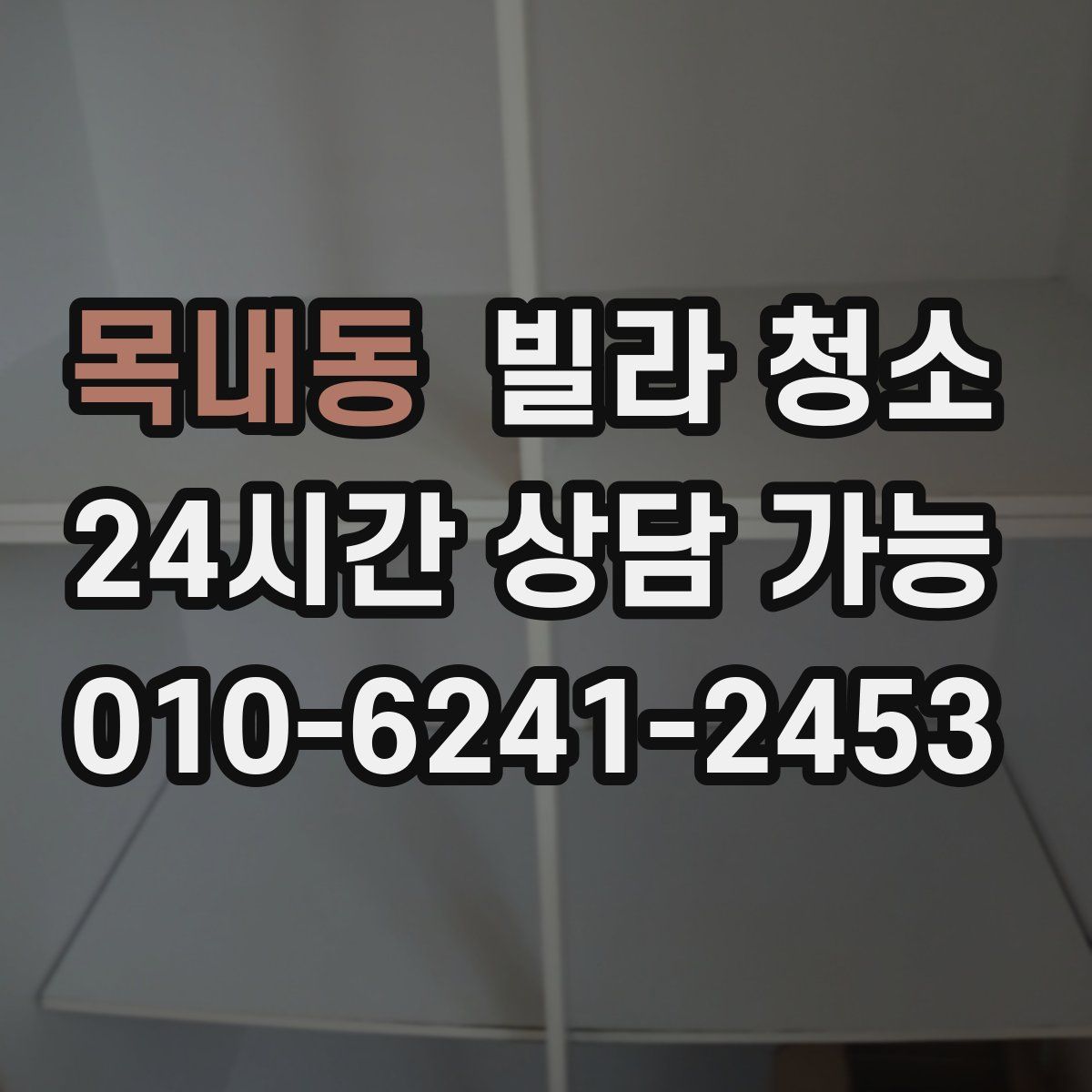 목내동 빌라 청소