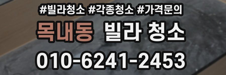 목내동 빌라 청소